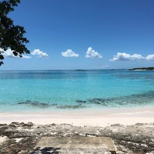 Meet your Posher, Ashleigh